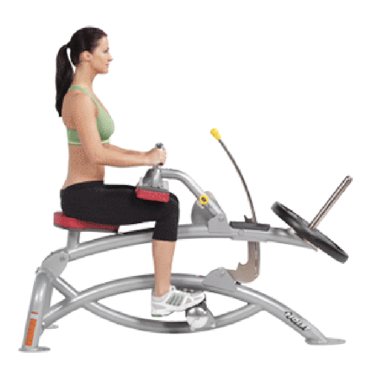 Picture of Seated Calf Raise RPL-5363 