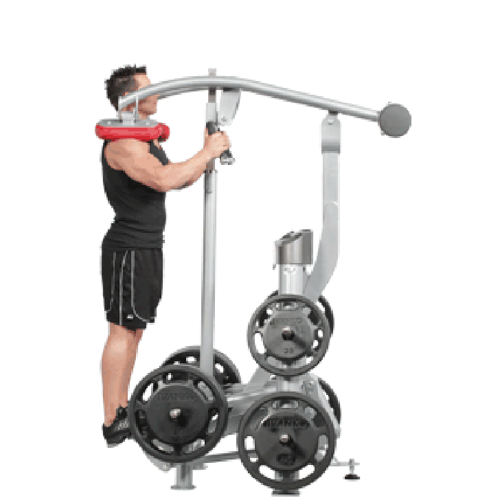 Picture of Standing Calf Raise RPL-5405 