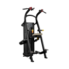 Hoist Chin/Dip Assist HD-3701