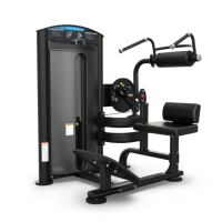  SD-1004 Ab Crunch/Back Strength Machine