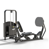 Freestanding Ride Leg Press 