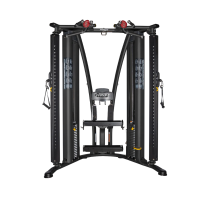 Dual Pulley System HD-3000 