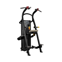 Hoist Chin/Dip Assist HD-3701
