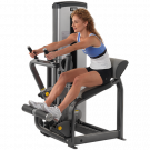 Picture of Abdominal/Back Extension Dual