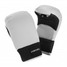 Picture of Karate Mitts