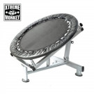 Picture of Xtreme Monkey Medicine Ball Rebounder