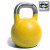 16KG Competition Kettlebell